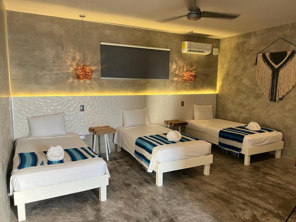 Villa Quetzal 普拉亚卡门 外观 照片